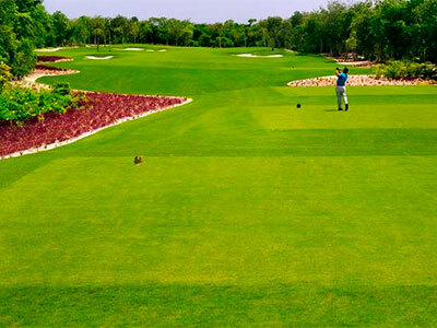 Hotel Pure Mareazul Riviera Maya