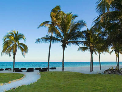 Hotel Pure Mareazul Riviera Maya