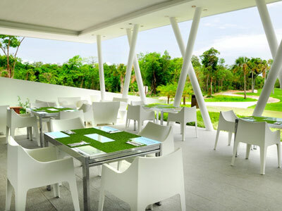 Hotel Pure Mareazul Riviera Maya