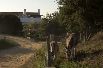 Agroturismo Herdade Do Touril