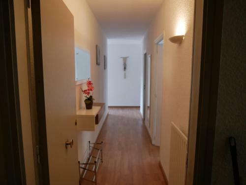 Apartamento San Pere Del Tarter-vacances Pirinenca
