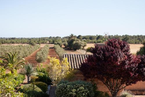 Agroturismo Finca Can Carro