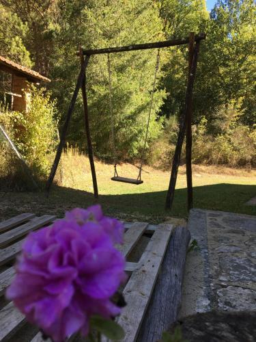 Agroturismo Agriturismo Montassi E Bruscolaio