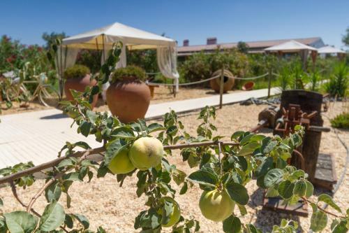 Agroturismo Monte Chala�a - Turismo Rural