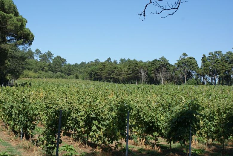 Agroturismo Quinta Do Paco D'anha