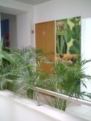 Hotel Serafim