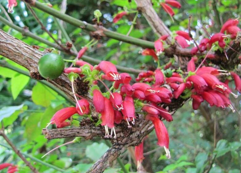 Hostal Residencial Casa Do Jardim