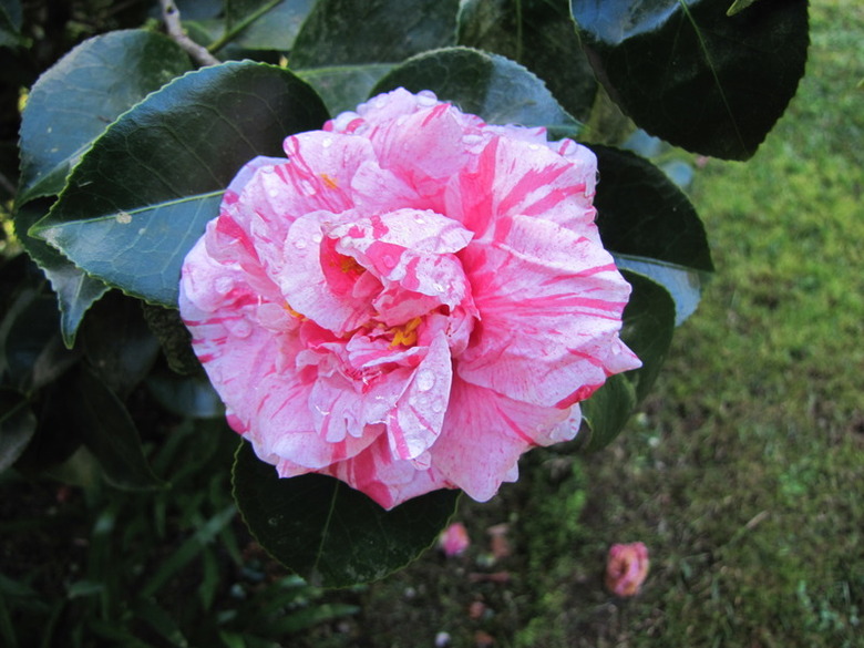 Hostal Residencial Casa Do Jardim