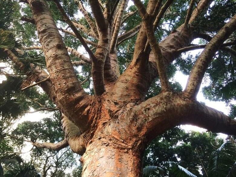 Hostal Residencial Casa Do Jardim