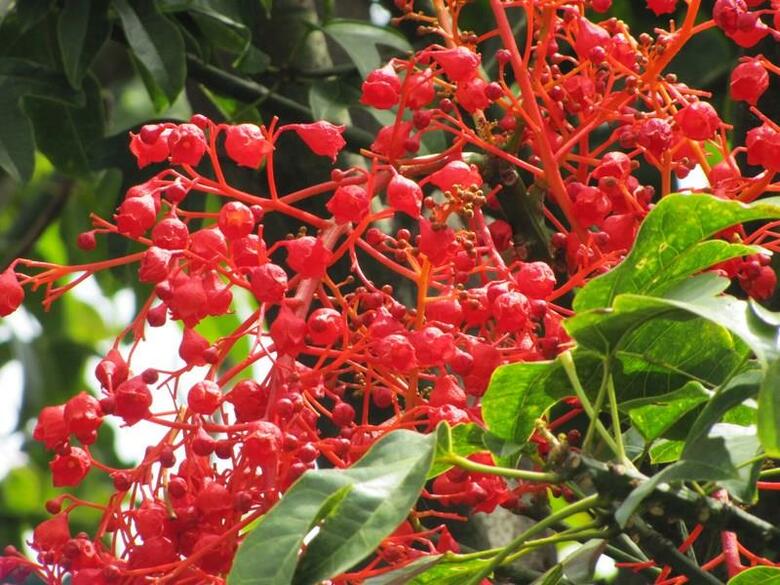 Hostal Residencial Casa Do Jardim