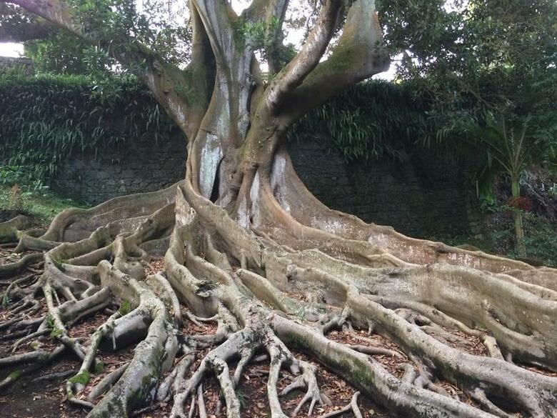 Hostal Residencial Casa Do Jardim