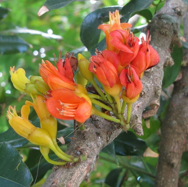 Hostal Residencial Casa Do Jardim