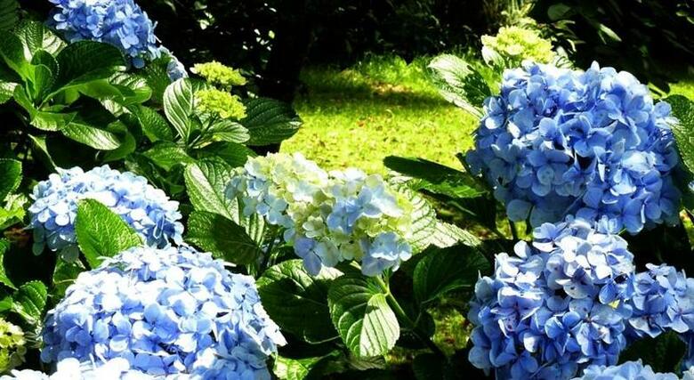 Hostal Residencial Casa Do Jardim