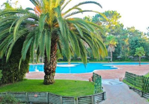 Apartamento Golf Resort