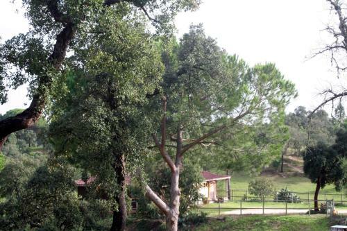 Agroturismo Coudelaria Vale Pau