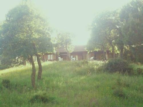 Agroturismo Coudelaria Vale Pau