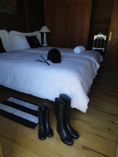 Agroturismo Coudelaria Vale Pau