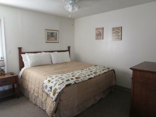 Posada Douglas Inn & Suites, Blue Ridge, Ga
