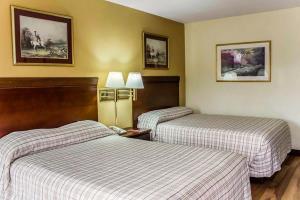 Motel Econo Lodge - Creedmoor
