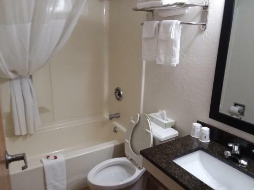 Motel Days Inn Hornell