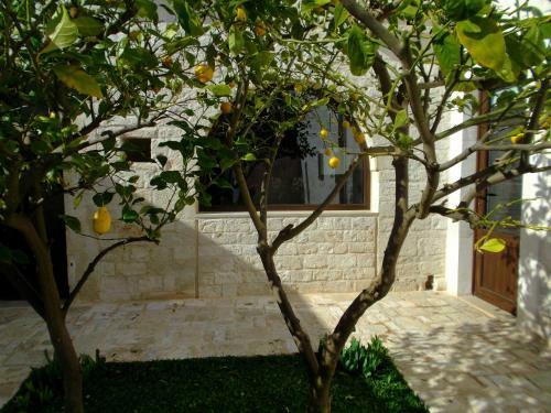 Bed & Breakfast La Piccola Corte