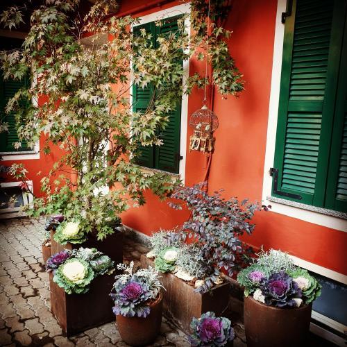Hostal B&B Arcobaleno