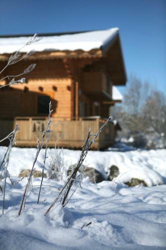 R�sidence N�m�a Les Chalets Du Bois De Champelle