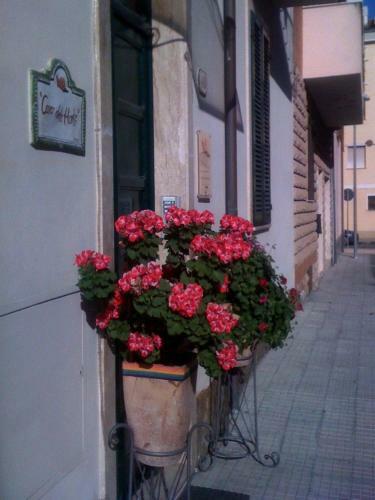 Apartamento Carrer Dels Horts