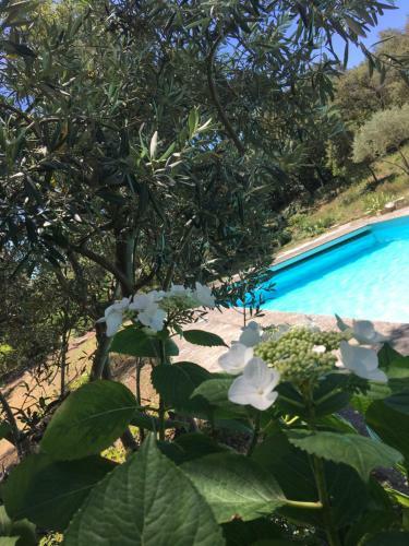 Bed & Breakfast New Cabanon