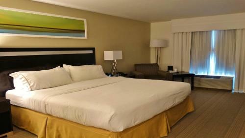 Hotel Holiday Inn Express And Suites Montgomery