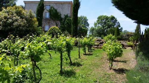Bed & Breakfast La Ferme De Jeanne