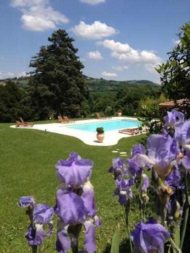 Hotel Domaine Des Buis