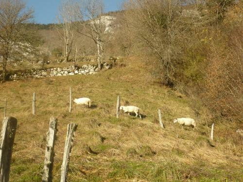 Bed & Breakfast La Chouette � L'heure Du Pinson
