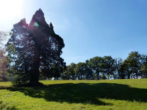 Agroturismo Domaine De Joreau