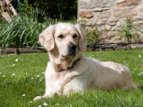 Agroturismo Domaine De Joreau