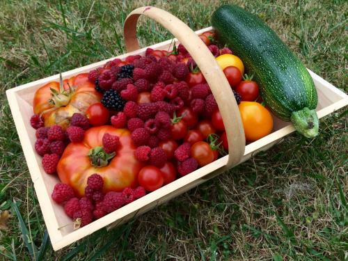 Agroturismo Domaine De Joreau