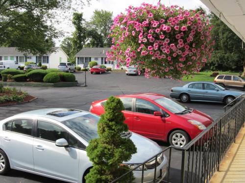 Founder's Brook Motel And Suites