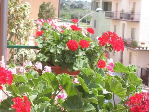 Apartamento Villa Paradise