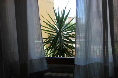 Apartamento Villa Paradise