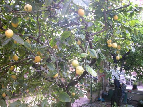 Apartamento Villa Paradise