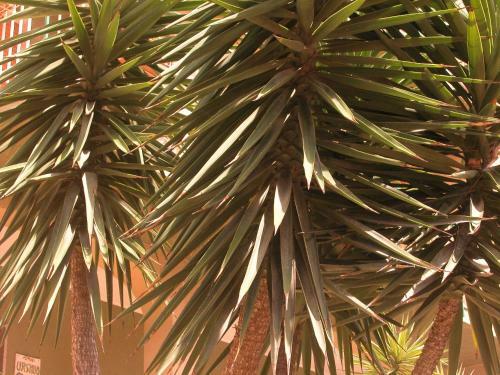 Apartamento Villa Paradise