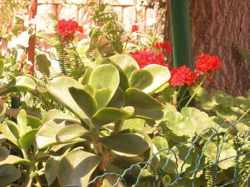 Apartamento Villa Paradise