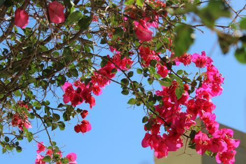 Apartamento Villa Paradise