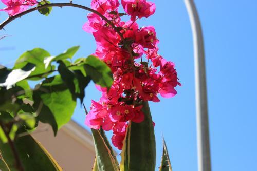 Apartamento Villa Paradise