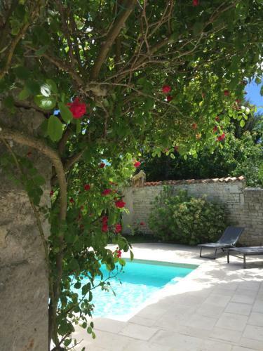 Bed & Breakfast La Maison Du Baloir