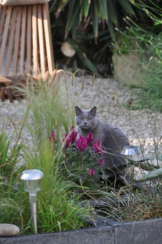 Bed & Breakfast La Maison Du Baloir