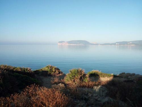 Bed & Breakfast Elclaca