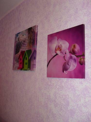 Bed & Breakfast Elclaca