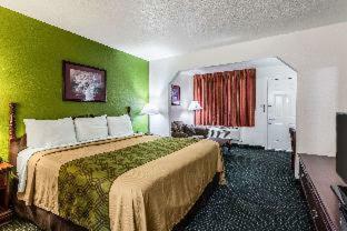 Hotel Econo Lodge & Suites Brinkley