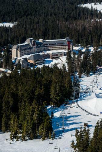 Alyeska Hideaway